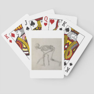 Jeu De Cartes Squelette humain: view latérale dans Crouching Pos