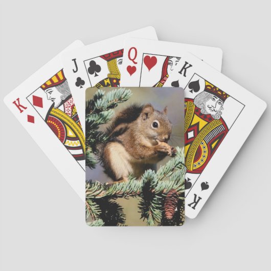 Jeu De Cartes Squirell Jouer Aux Cartes (dos)