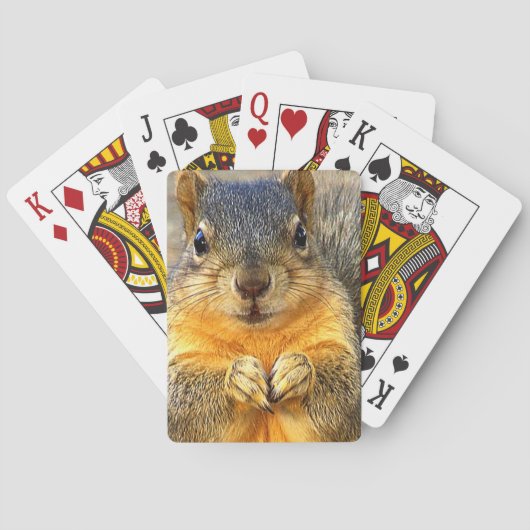 Jeu De Cartes Squirrel Love_ (dos)