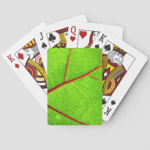Jeu De Cartes St. Thomas 1