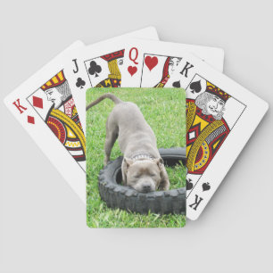 Jeu De Cartes Staffy Time To Change The Tyre,