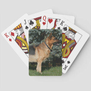 Jeu De Cartes Stand de German Shepherd