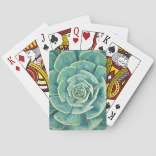 Jeu De Cartes Succulent en gros plan