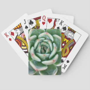 Jeu De Cartes Succulent incliné par rouge vert