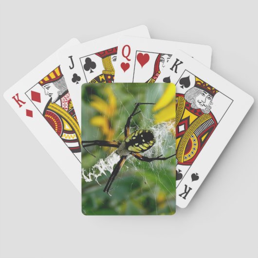 Jeu De Cartes Superbe araignée orbiculaire dans sa toile (dos)