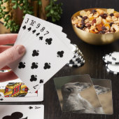 Jeu De Cartes Suricate (In Situ)