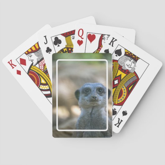 Jeu De Cartes Suricate drôle (dos)