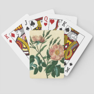 Jeu De Cartes Sweet Briar Rose