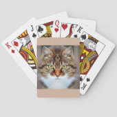 Jeu De Cartes Tabby Cat (dos)