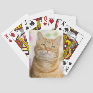 Jeu De Cartes Tabby Chat doux à l'orange