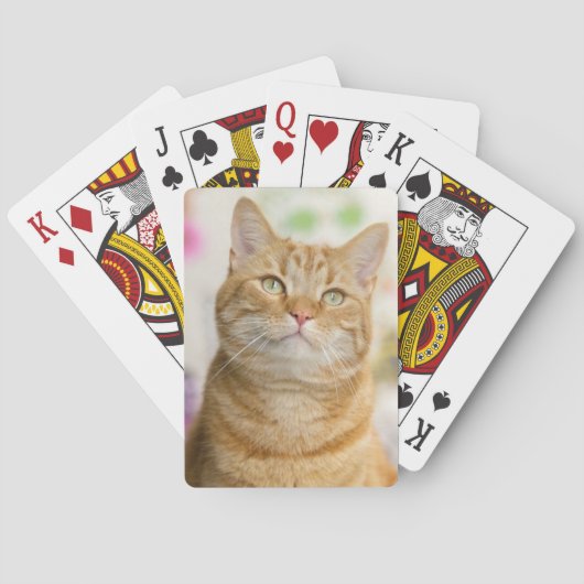 Jeu De Cartes Tabby Chat doux à l'orange (dos)