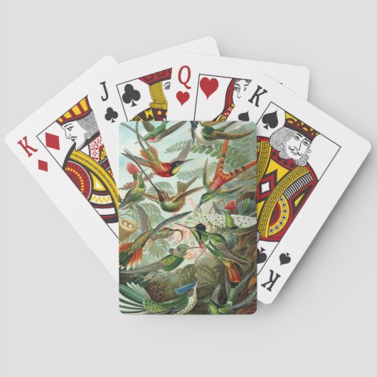 Jeu De Cartes tableau classique de la faune des oiseaux colibris (dos)