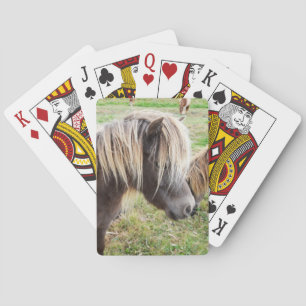 Jeu De Cartes Tan Coloré Shetland Pony,