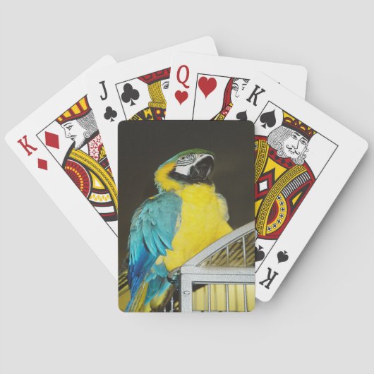 Jeu De Cartes Taz... (dos)