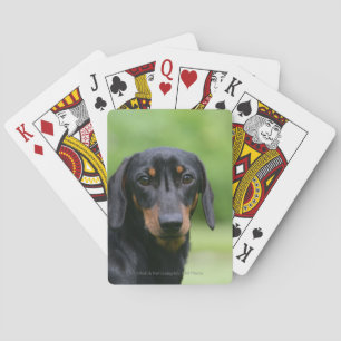 Jeu De Cartes Teckel miniatura noir et feu 1