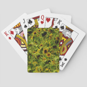 Jeu De Cartes Terrain de tournesol