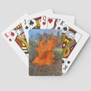 Jeu De Cartes Terre Fosse Biochar