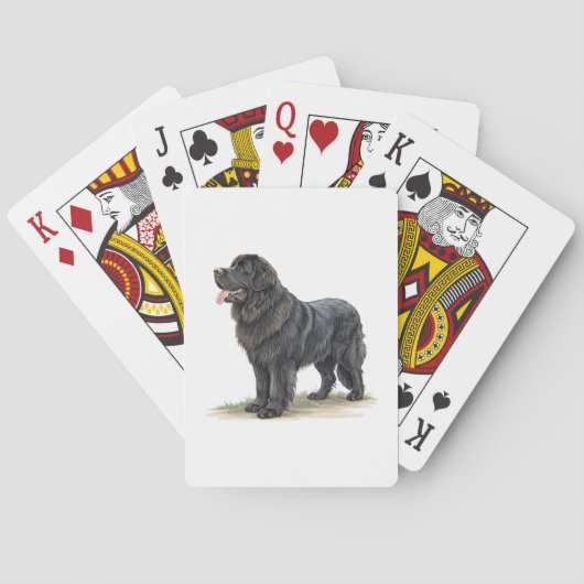 Jeu De Cartes Terre-Neuve (dos)