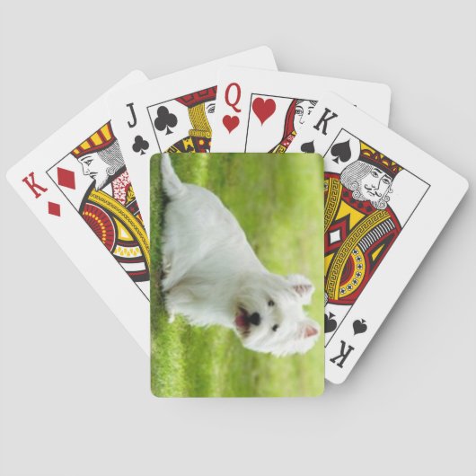 Jeu De Cartes terrier écossais (dos)