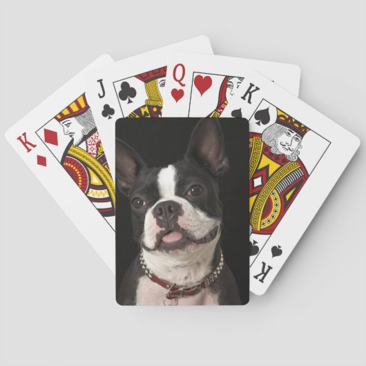 Jeu De Cartes Terrier souriant de Boston avec col (dos)