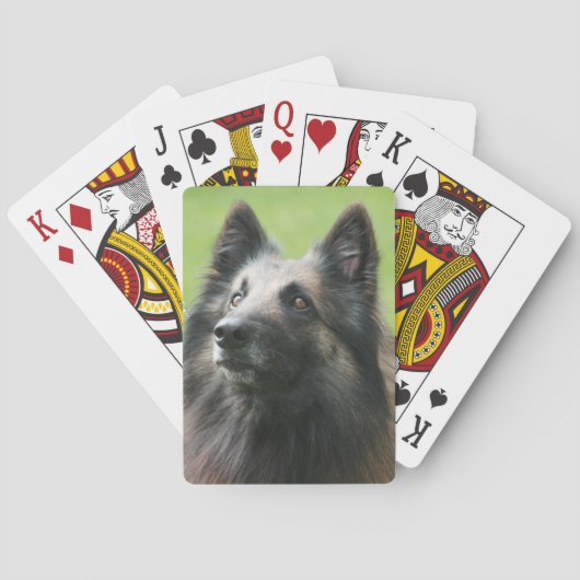 Jeu De Cartes Tervuren belge (dos)