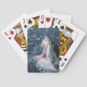 Jeu De Cartes Tête de grand requin blanc