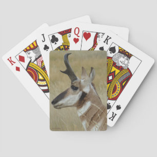 Jeu De Cartes Tête de jeune buck d'antilope pronghorn A4 profil
