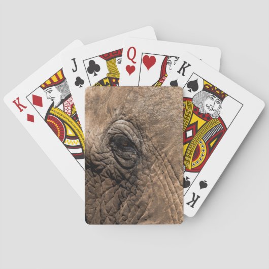 Jeu De Cartes Tête d'un éléphant (dos)