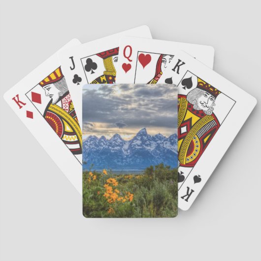 Jeu De Cartes Tetons grand (dos)