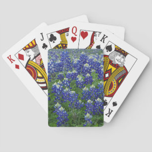 Jeu De Cartes Texas Bluebonnets Field Photo