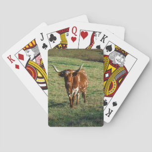 Jeu De Cartes Texas Longhorn Cattle Cow Photo Russe