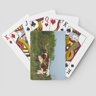 Jeu De Cartes Texas Longhorn jouer aux cartes