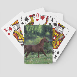 Jeu De Cartes Thoroughbred Horse Standing à Flowers