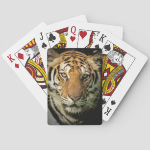 Jeu De Cartes tigre