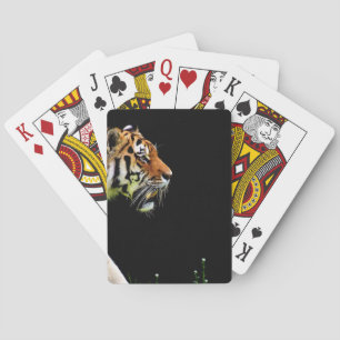 Jeu De Cartes Tigre approchant - Oeuvres d'art d'animaux sauvage