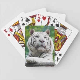 Jeu De Cartes Tigre blanc jouant aux cartes
