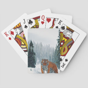 Jeu De Cartes tigre dans la neige