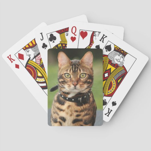 Jeu De Cartes Tigre du Bengale (dos)