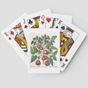 Jeu De Cartes Tomates et melons : 1.Poma amoris fructu luteo ; 2