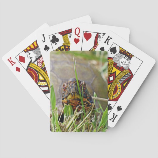 Jeu De Cartes Tortue (dos)