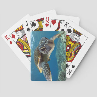 Jeu De Cartes Tortue de mer verte hawaïenne