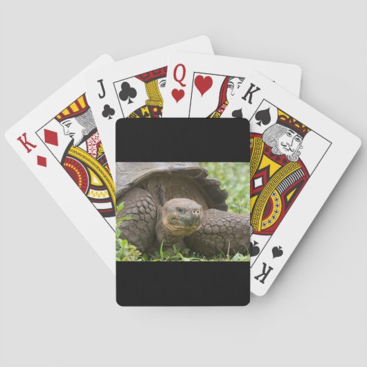 Jeu De Cartes Tortue géante (dos)