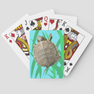 Jeu De Cartes Tortue minuscule (Tortue) sur l'Herbe Verte Illust