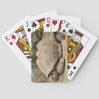 Jeu De Cartes Tortue souriante 