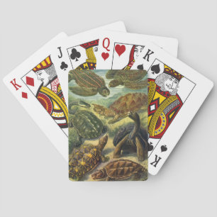 Jeu De Cartes Tortues anciennes et tortues marines par Ernst Hae