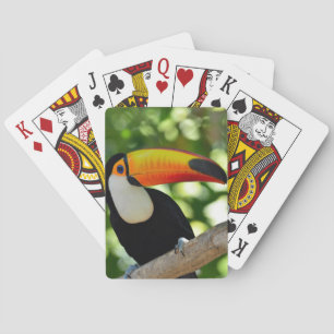 Jeu De Cartes Toucan