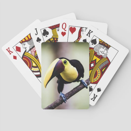 Jeu De Cartes Toucan du Costa Rica (dos)