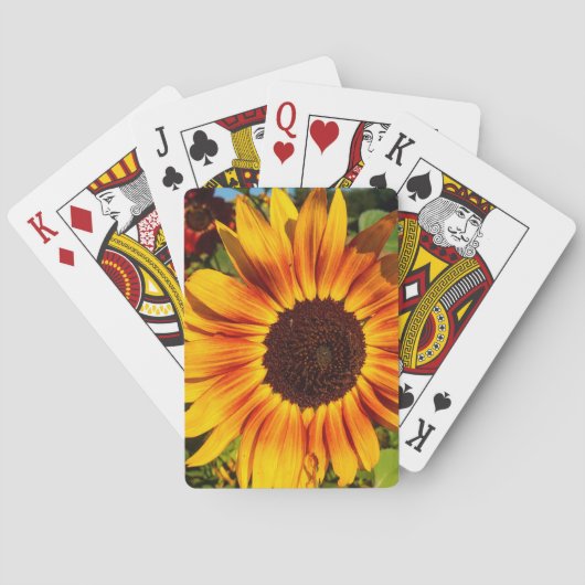 Jeu De Cartes Tournesol (dos)