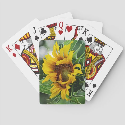 Jeu De Cartes Tournesol (dos)