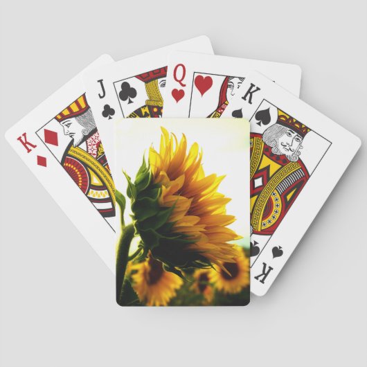Jeu De Cartes Tournesol (dos)